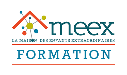 Logo Meex Formation